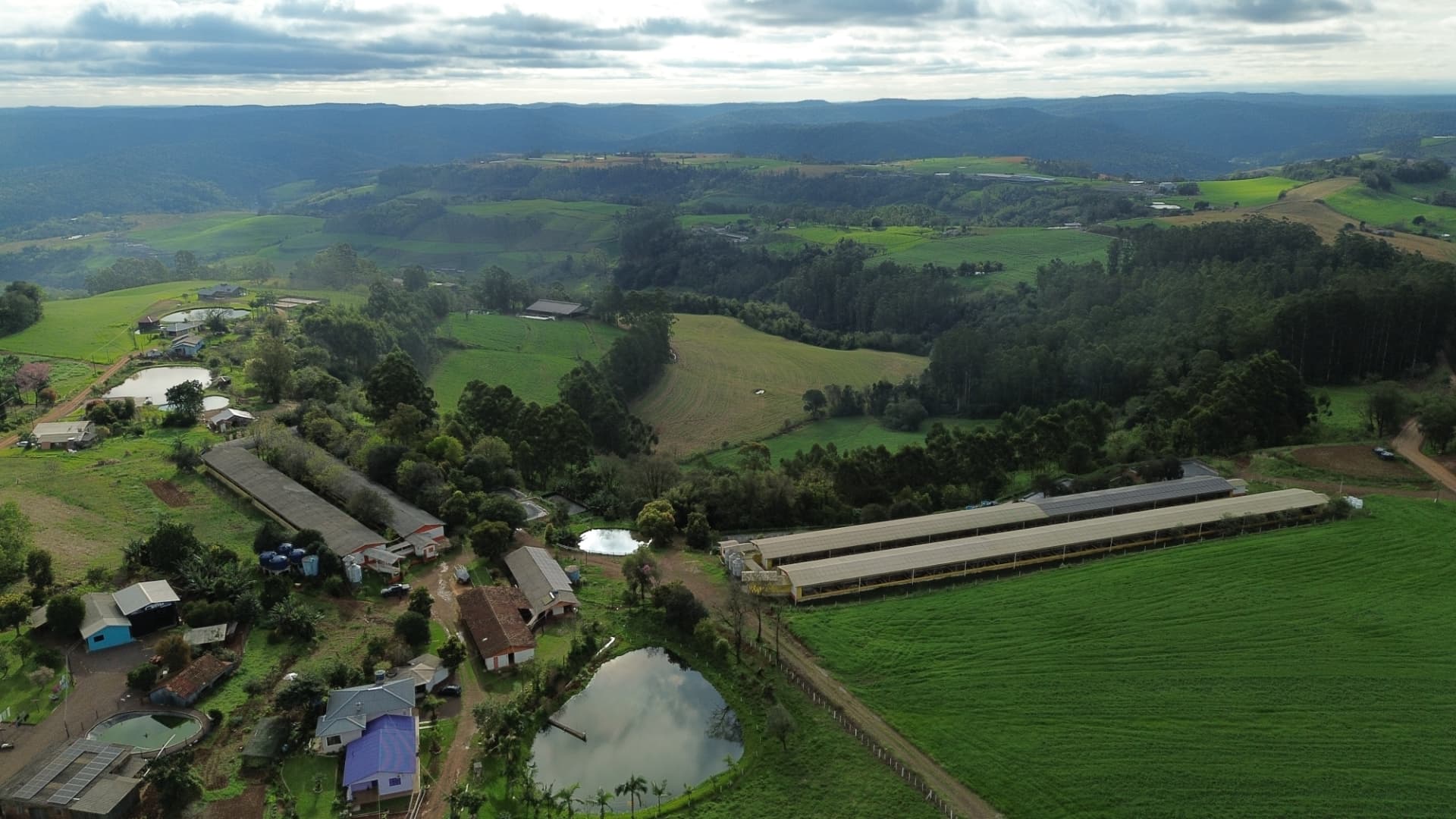 Vista aérea de granja atendida pela P4 Agronegócios