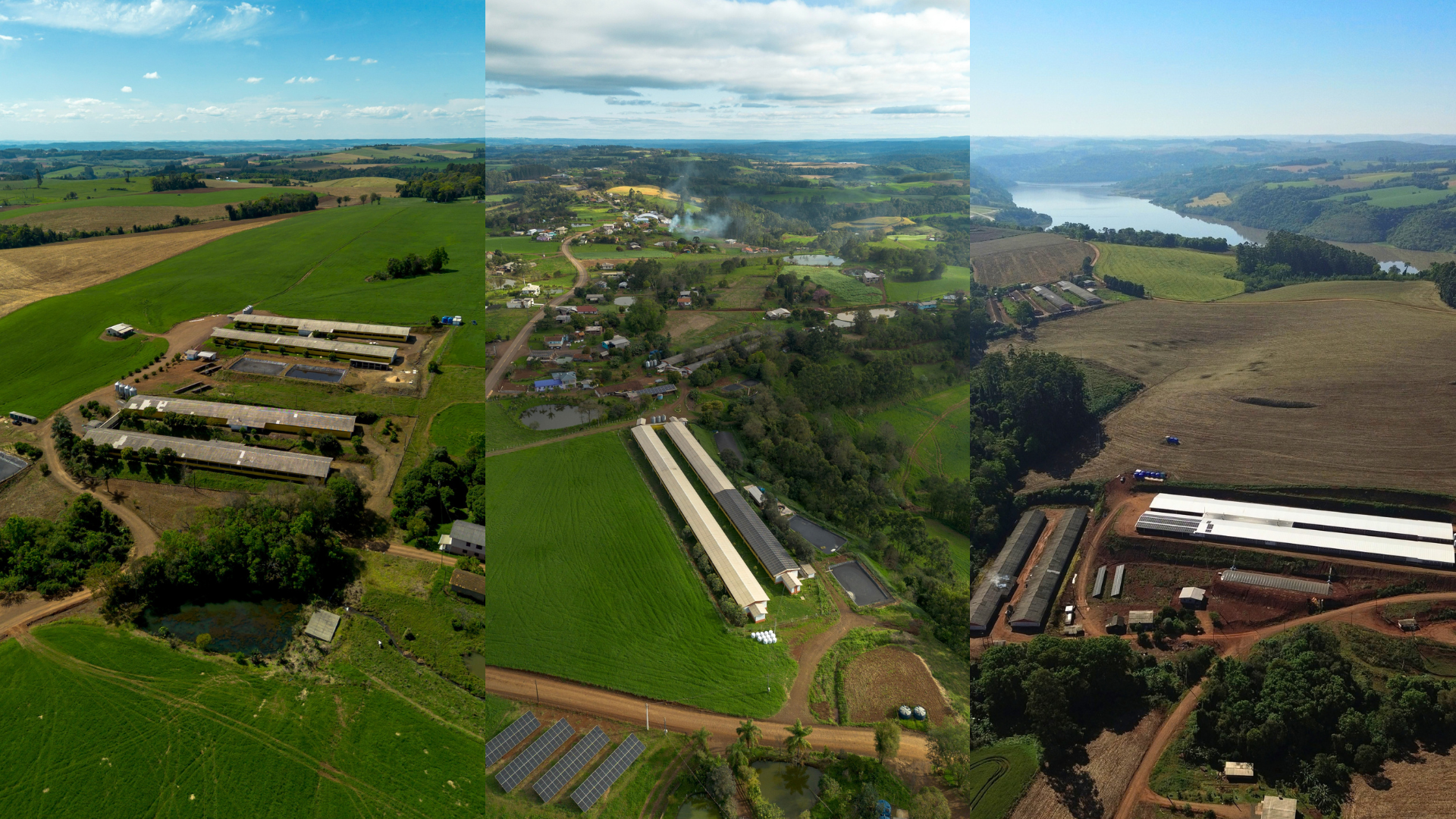 Conjunto de vistas aéreas de granjas atendidas pela P4 Agronegócios